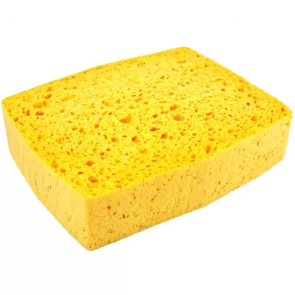 Cellulosasvamp - Bild 2